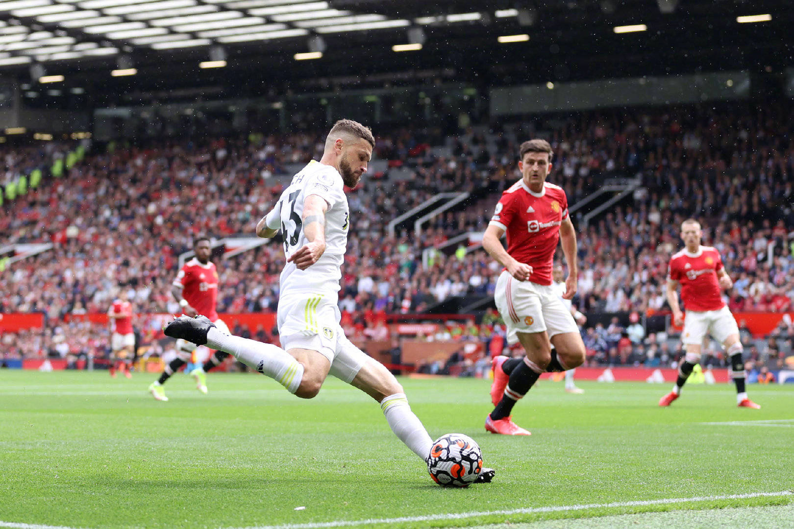 他的成熟和 他的成熟和